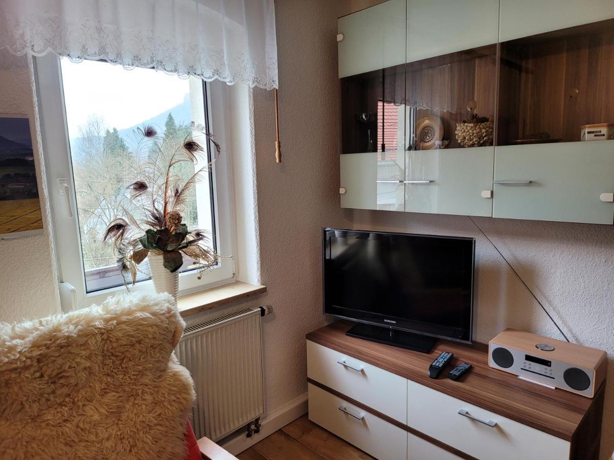 Ferienwohnungen "Gruendelrast" Prossen Bagian luar foto