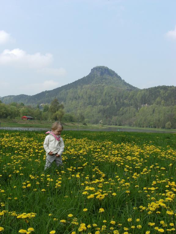 Ferienwohnungen "Gruendelrast" Prossen Bagian luar foto