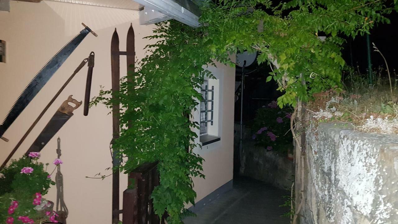 Ferienwohnungen "Gruendelrast" Prossen Bagian luar foto